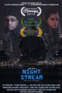 Night Stream (2013)
